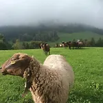 Haus Hagspiel Agroturismo Hittisau