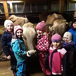 Haus Hagspiel Agroturismo *