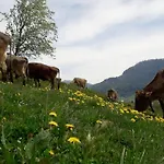 Agroturismo Haus Hagspiel