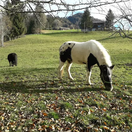 Haus Hagspiel Bauernhof Hittisau