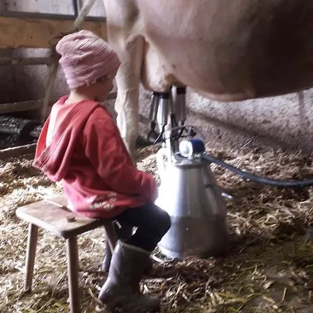 Κατάλυμα σε φάρμα Haus Hagspiel *