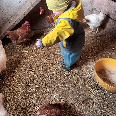 Haus Hagspiel Hittisau