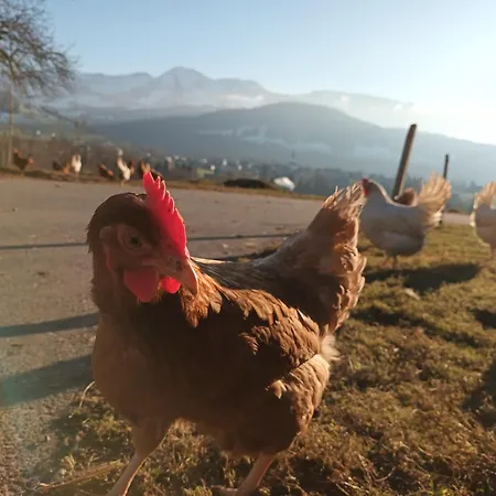 Agroturismo Haus Hagspiel Hittisau