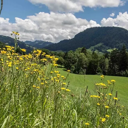 Haus Hagspiel Κατάλυμα σε φάρμα Hittisau