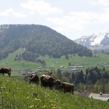 Bauernhof Haus Hagspiel Hittisau