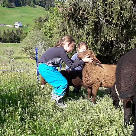 Κατάλυμα σε φάρμα Haus Hagspiel Hittisau