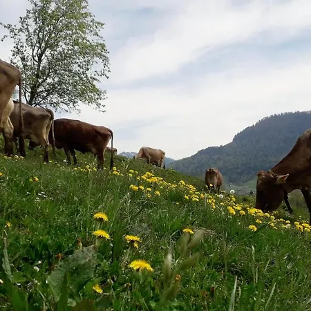 Κατάλυμα σε φάρμα Haus Hagspiel