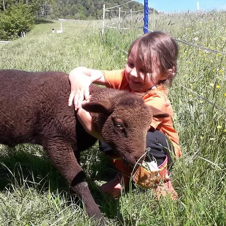 Κατάλυμα σε φάρμα Haus Hagspiel Hittisau